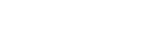 Mr. Upgrade's First Class Flyer
